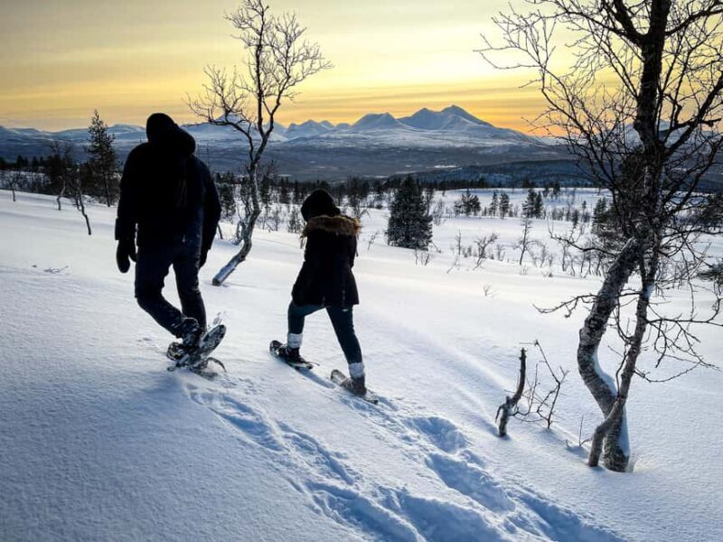 Bardufoss: Snowshoe Hike with Campfire, Lunch and Great View - Key Points