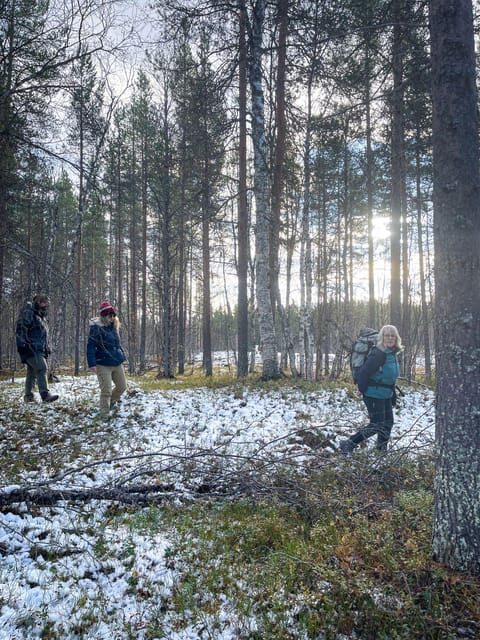 Bardufoss: Wild Moose Safari with Lunch - FAQ