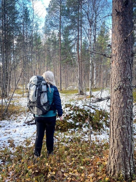 Bardufoss: Wild Moose Safari with Lunch - Final Thoughts