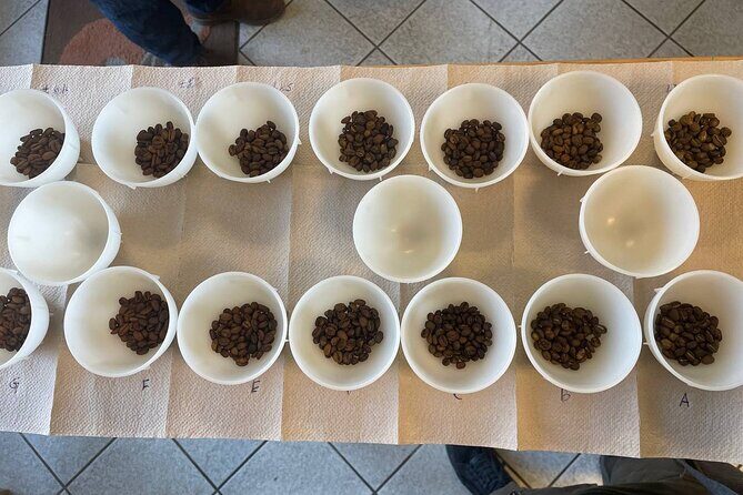 Barista Skills Foundation Course in Ljubljana - Whats Included and Whats Not