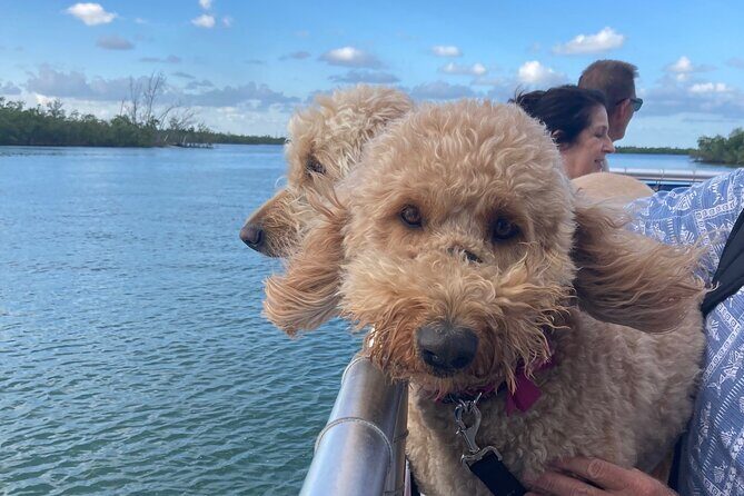 Bark on the Ark - Who Is This Tour Best For?