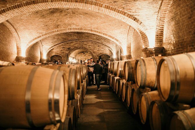 Barolo & Barbaresco Wine Tour with a Sommelier - Who Should Consider This Tour?