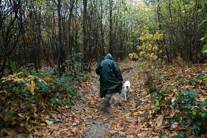 Barolo & Barbaresco Wine Tour with a Sommelier - FAQ