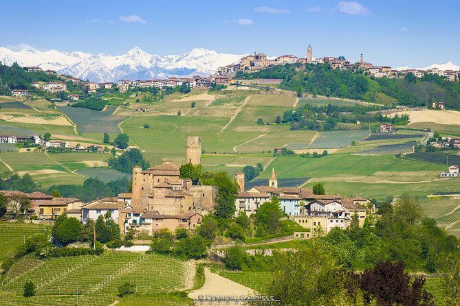 Barolo & Barbaresco Wine Tour with a Winemaker - Key Points