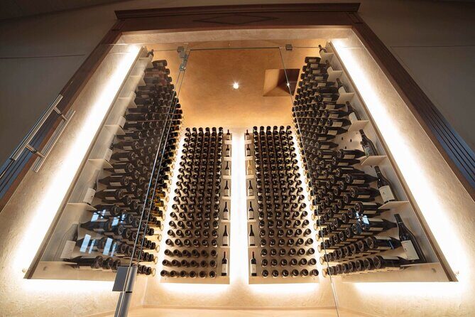 Barolo & CO: visit and tasting - What to Expect at the Barolo & CO Tour