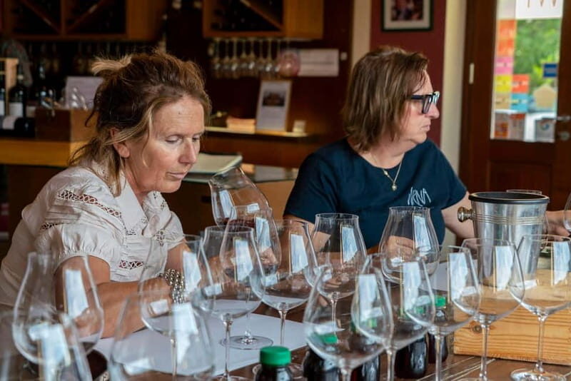 BAROLO: GUIDED VISIT TO THE WINERY AND TASTING WITH THE PRODUCER - What to Expect from Your Visit