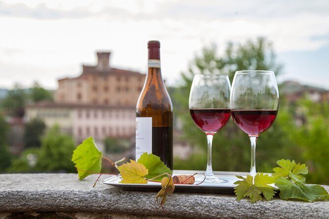 Barolo wine Tasting, Alba, UNESCO Castle: Small Group from Milan - Who Will Love This Tour?