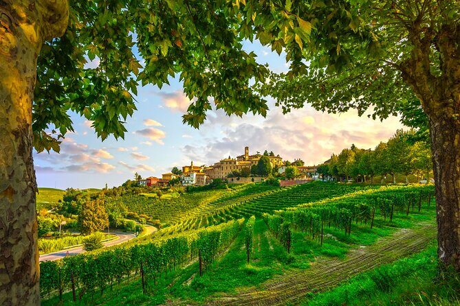 Barolo wine Tasting, Alba, UNESCO Castle: Small Group from Milan - FAQ: Your Questions Answered
