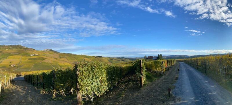 Barolo: Wine Tasting in the Heart of Cannubi - Key Points