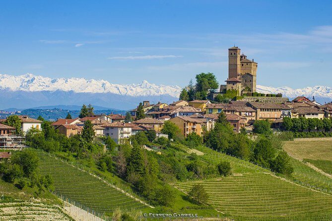 Barolo Wine Tour - What to Expect in Terms Logistics