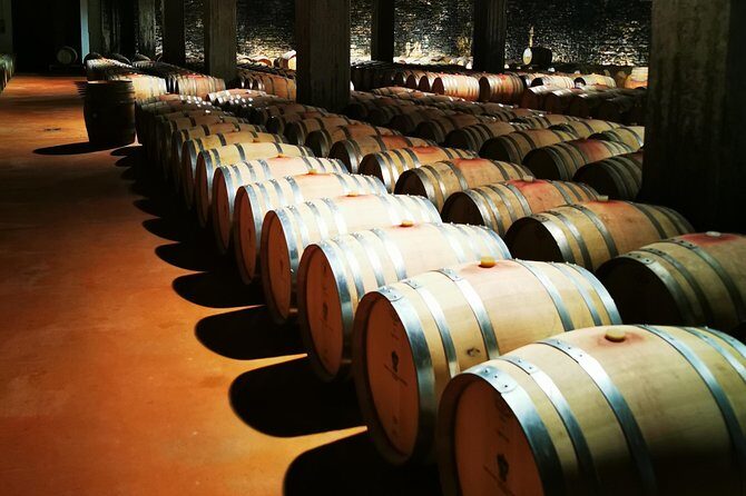 Barolo&Barbaresco wine tour with a local winemaker - A Closer Look at the Itinerary