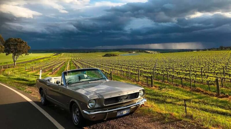 Barossa Food & Wine Trail in a Classic 1966 Mustang - A Closer Look at the Experience