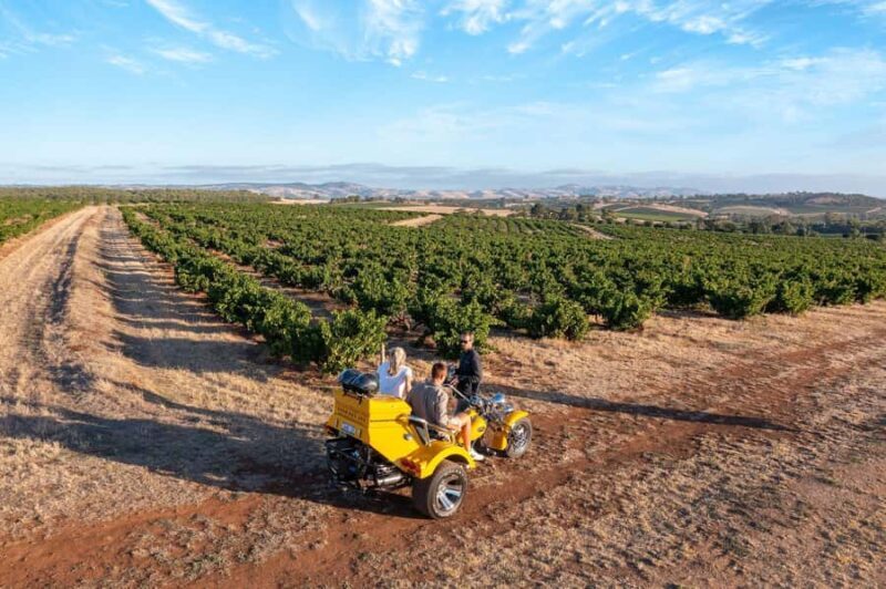Barossa Valley: 3.5hr Trike Tour For 2 - Source: