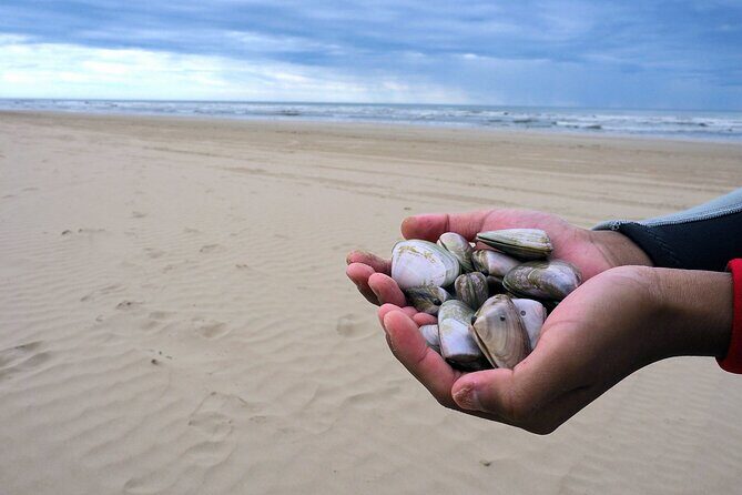 Barossa Valley Cellar Door Small Group Tour - The Bottom Line: Who Is This Tour Best For?