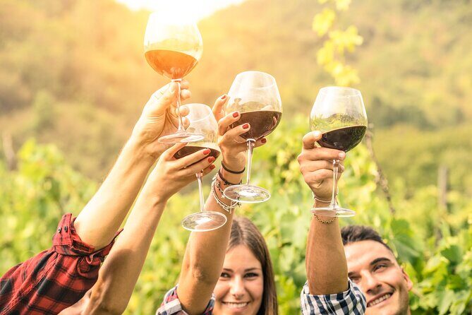 Barossa Valley Cellar Door Small Group Tour - FAQ