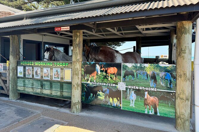 Barossa Valley Food & wine Tour- Cruise Ship Pickups - Who Should Consider This Tour?