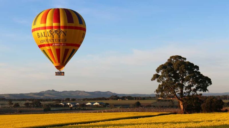 Barossa Valley: Hot Air Balloon Flight - Key Points