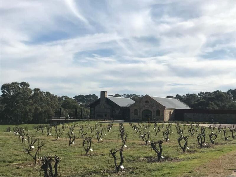 Barossa Valley: Small Group Wine Tour (Includes Lunch) - Key Points