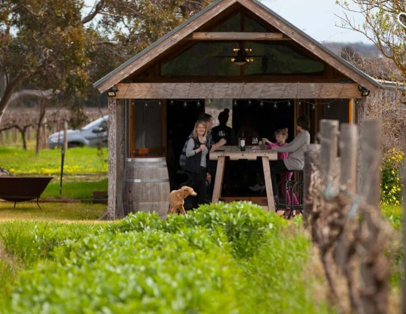 Barossa Wine Tour: Small Group 8 max, Rare, Unique, Premium - Key Points