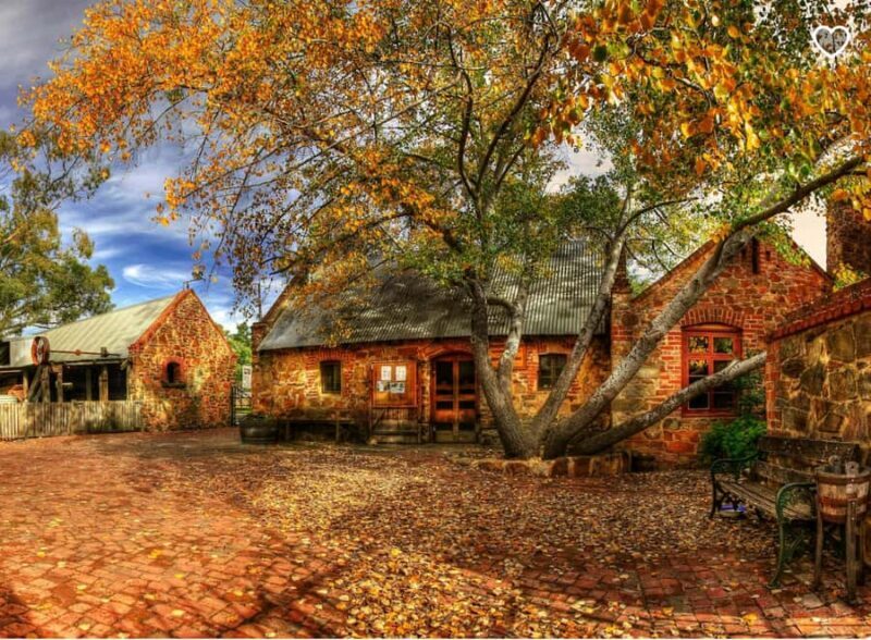 Barossa Wine Tour: Small Group 8 max, Rare, Unique, Premium - Frequently Asked Questions