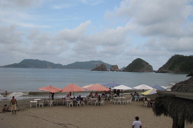 barra de navidad and plantations - Key Points