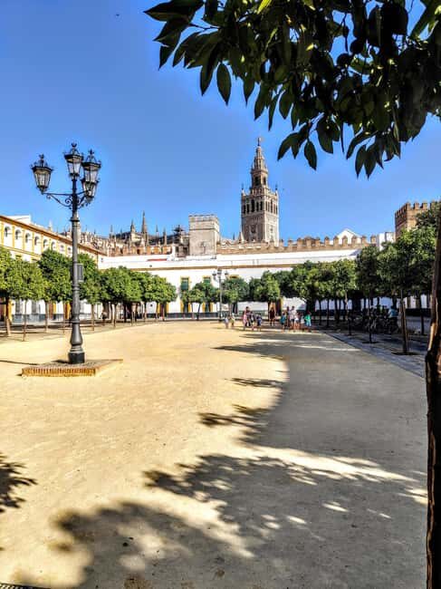 Barrio de Santa Cruz: a private walking tour through Seville's old Jewish quarter. - Key Points