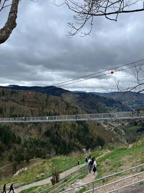 Basel: Black Forest, Waterfall &Mountain, Lakes Private Tour - Exploring the Black Forest in Style: An Overview