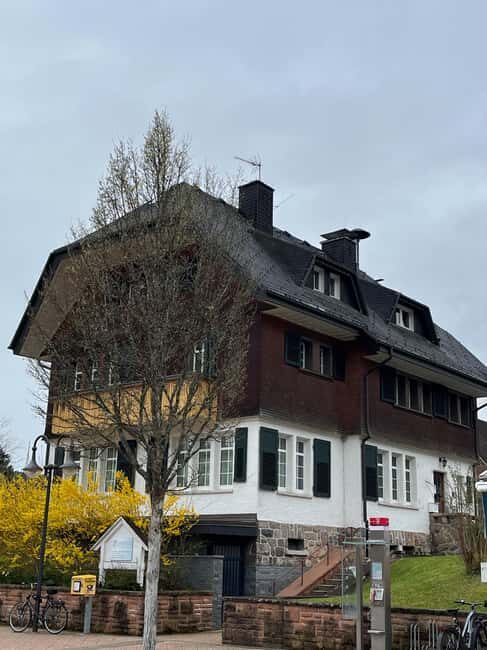 Basel: Black Forest, Waterfall &Mountain, Lakes Private Tour - Final Thoughts