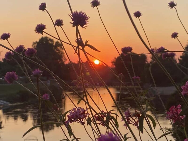 Basel: Fancy a bike tour through 3 countries in 60 minutes? - An In-Depth Look at the Experience