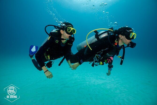 Basic Diver - Bautismo - FAQs About the Basic Diver - Bautismo Tour
