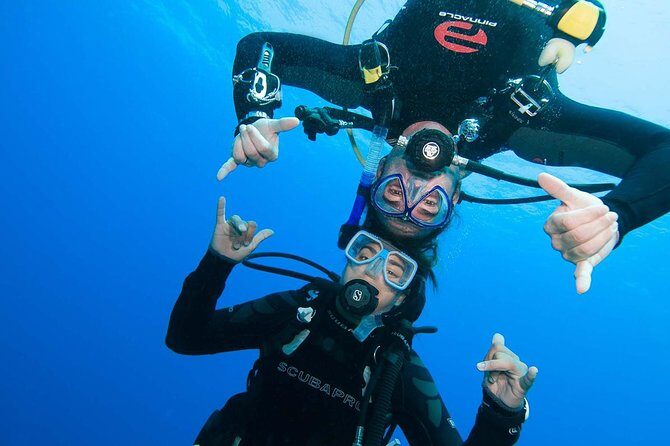 Basic Diver course for beginners with 1 dive in the Ocean - Exploring the Basic Diver Course in Tenerife: A Friendly Introduction to Underwater Adventures