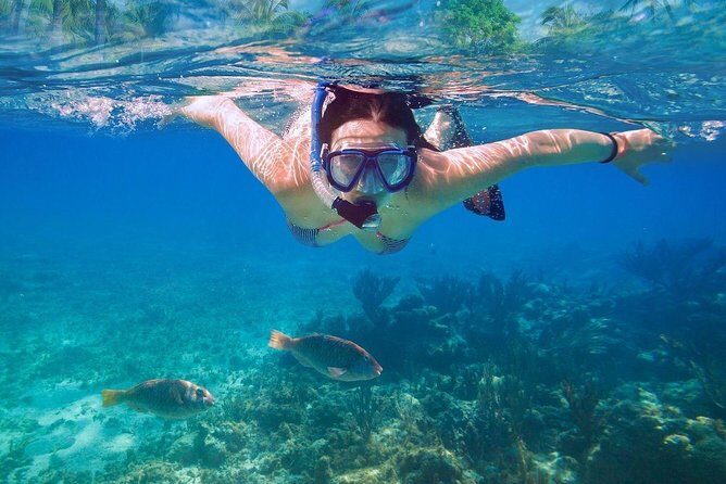 Basic Snorkel Experience In Cancun - Is This Tour Right for You?