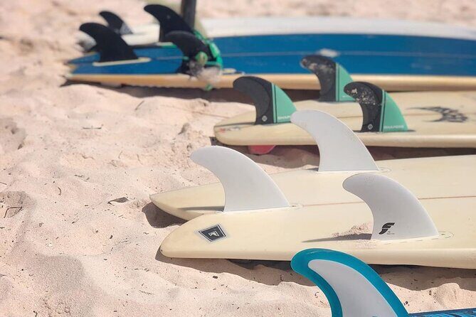 Basic Surf Lessons in Tulum - Who is This Tour Best For?