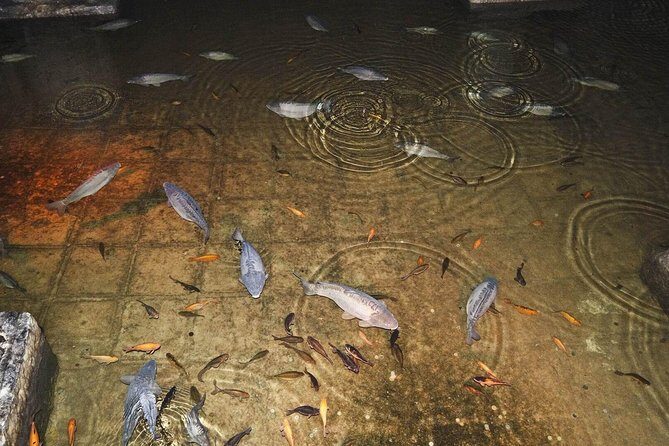 Basilica Cistern Skip the Line Ticket - The Sum Up: Should You Book This Tour?