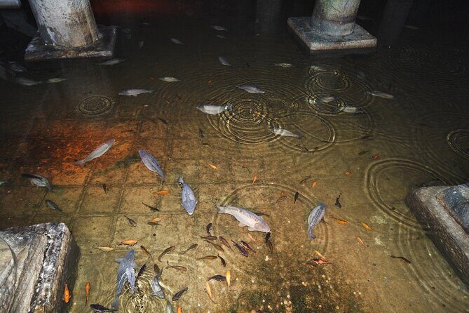 Basilica Cistern Small Group, Live Guide. w/Skip-the-Line Ticket - How the Tour Works: The Itinerary
