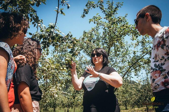 "Basque Cider House" guided tour + meal from San Sebastian - Who Is This Tour Best For?