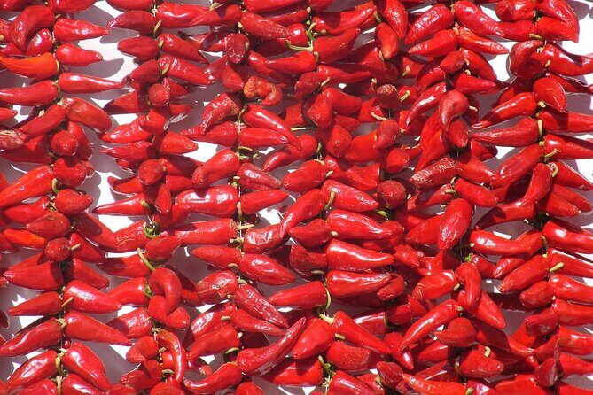 Basque Country Food Tour - The Experience in Detail