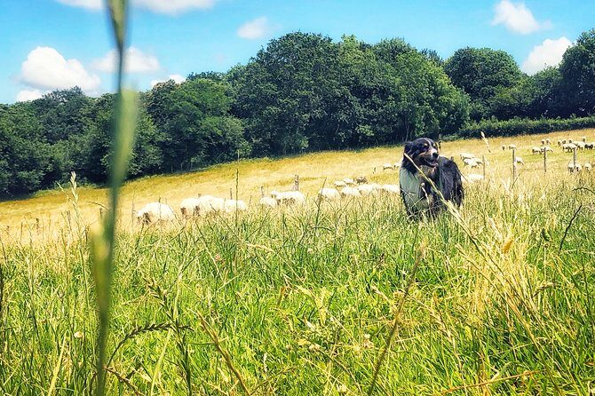 Basque Country Food Tour - Final Thoughts