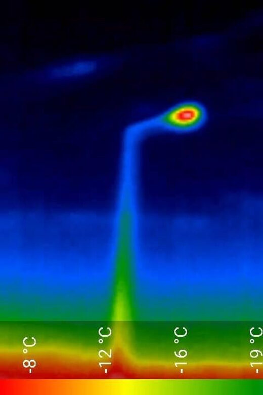 Bat Watching Madeira - An In-Depth Look at Bat Watching Madeira