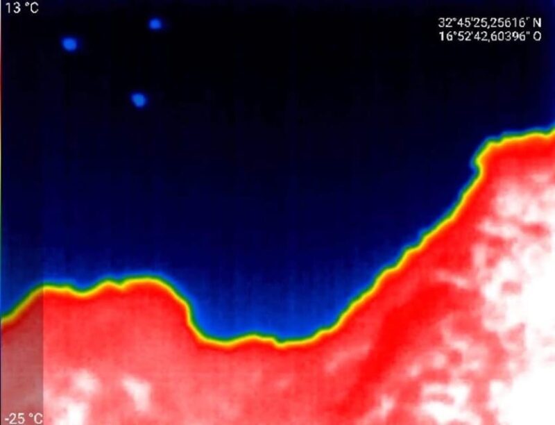 Bat Watching Madeira - FAQs
