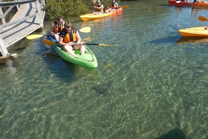 Batemans Bay Glass-Bottom Kayak Tour Over 2 Relaxing Hours - Key Points