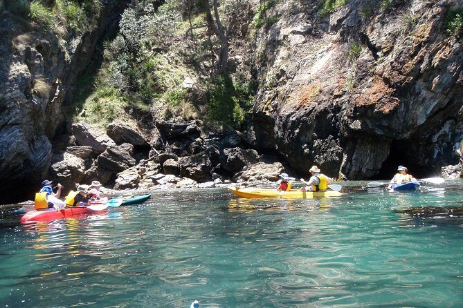 Batemans Bay Glass-Bottom Kayak Tour Over 2 Relaxing Hours - FAQs about the Batemans Bay Glass-Bottom Kayak