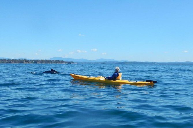Batemans Bay Glass-Bottom Kayak Tour Over 2 Relaxing Hours - Wrapping It Up