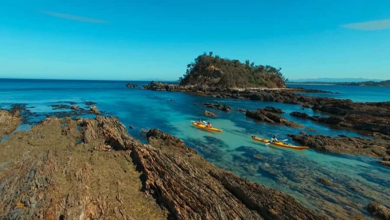 Batemans Bay: Half-Day Sea Kayak Tour - Price and Value
