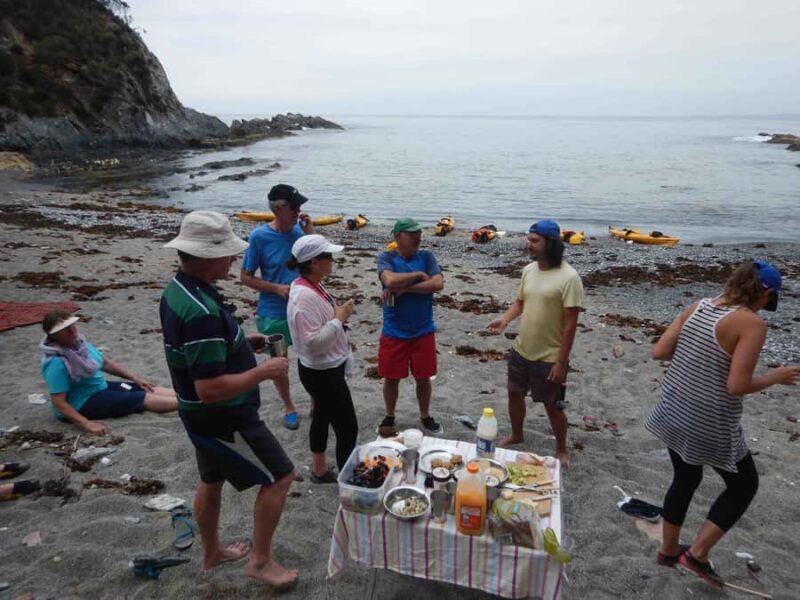Batemans Bay: Half-Day Sea Kayak Tour - Practical Tips for Visitors