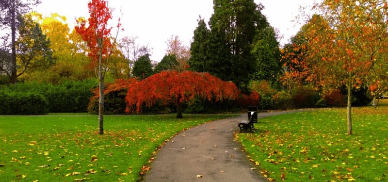 Bath : 2 Hour Historic Walking Tour With An App - FAQs