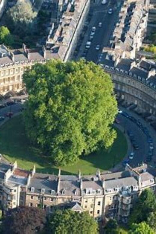 Bath: Guided walking tour of Historic Sights & Pubs (3h) - An In-Depth Look at the Bath: Historic Sights & Pubs Tour
