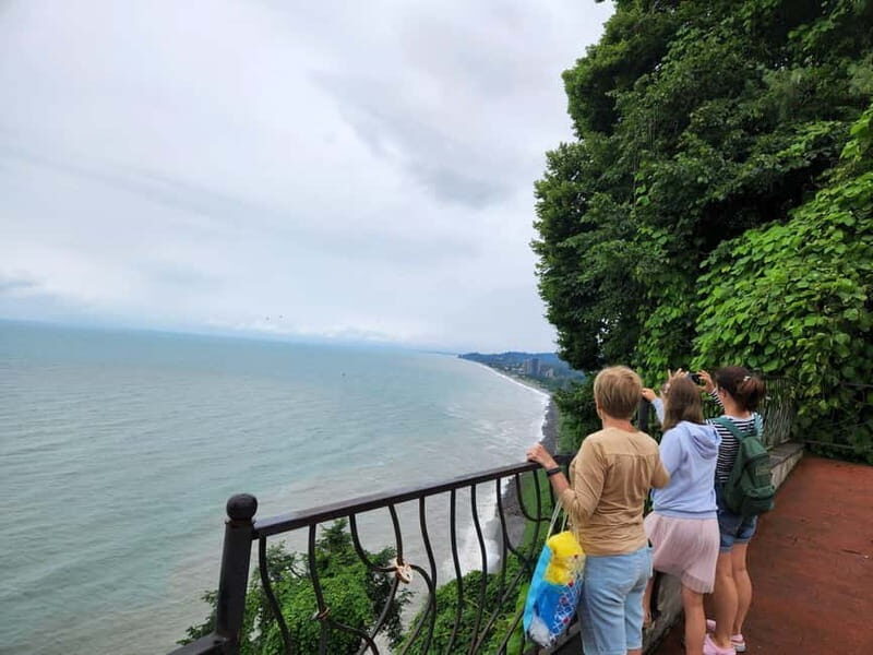Batumi: Exploring Botanical Garden + Family Wine Tasting - In-Depth Look at the Tour Experience