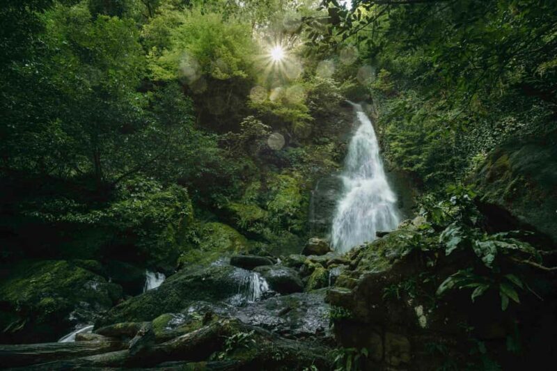 Batumi: Extreme Escape ATV, Parasailing & Buggy - Practical Tips for Future Adventurers