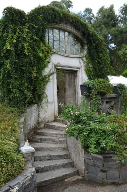 Batumi: Georgian Supra Experience with Locals & Lunch - The Value of the Experience